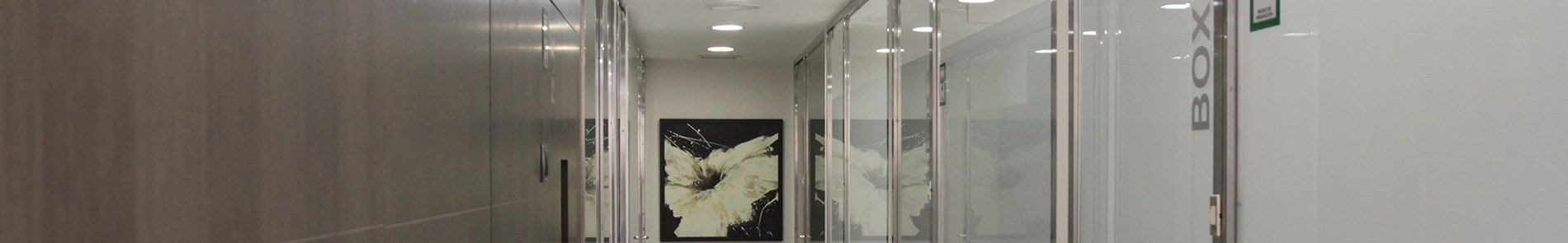 Dentista infantil